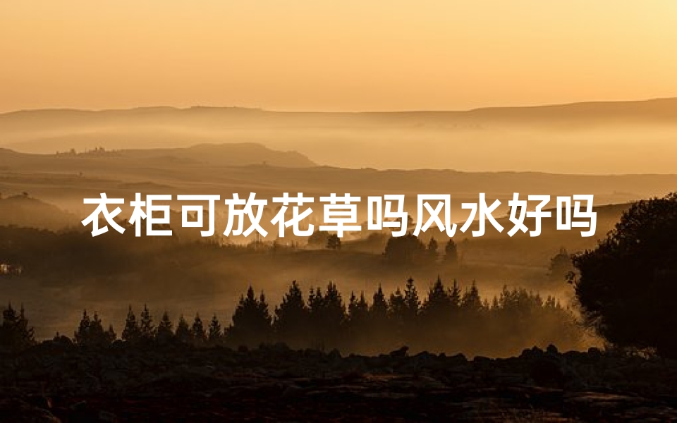 衣柜可放花草吗风水好吗;柜子上能放花吗