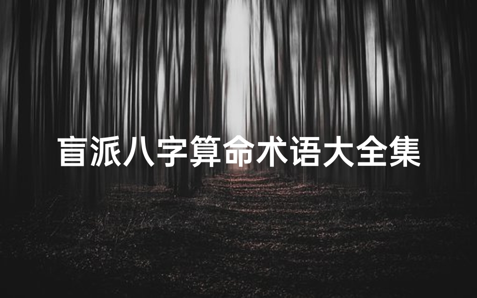 盲派八字算命术语大全集(命理口诀 盲派命理金口诀)
