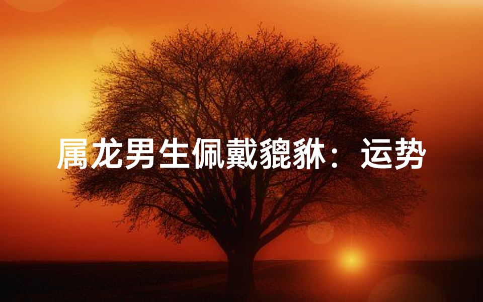 属龙男生佩戴貔貅:运势提升的秘密?