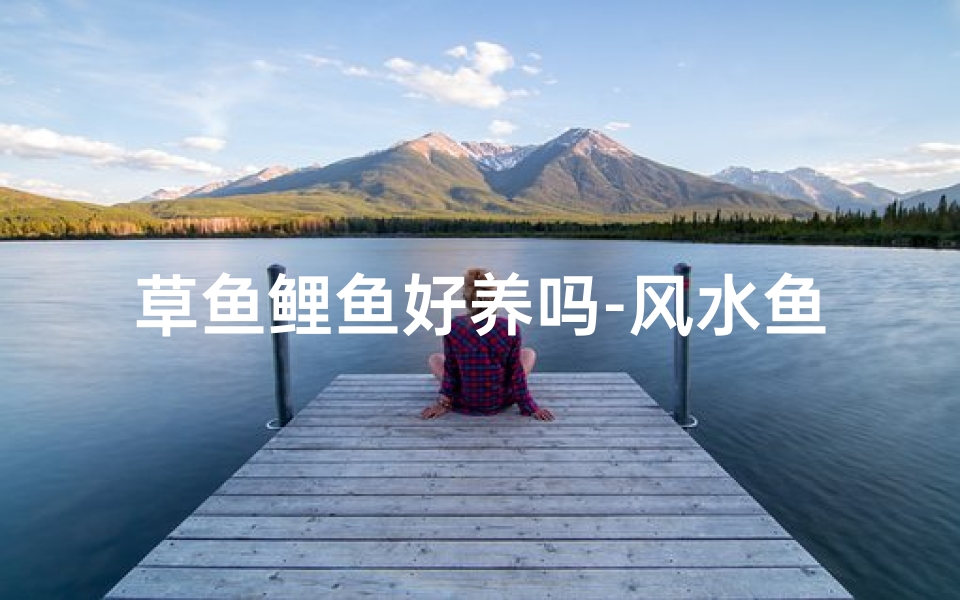 草鱼鲤鱼好养吗-风水鱼选草鱼还是鲤鱼?揭秘风水鱼风水奥秘