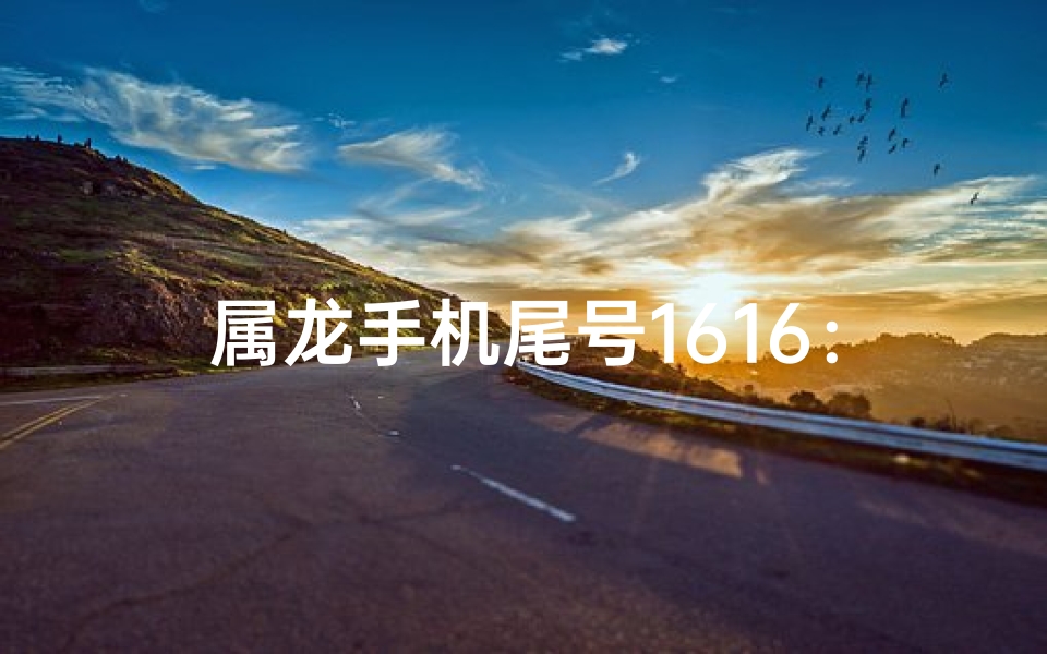 属龙手机尾号1616:揭秘神秘数字背后的故事