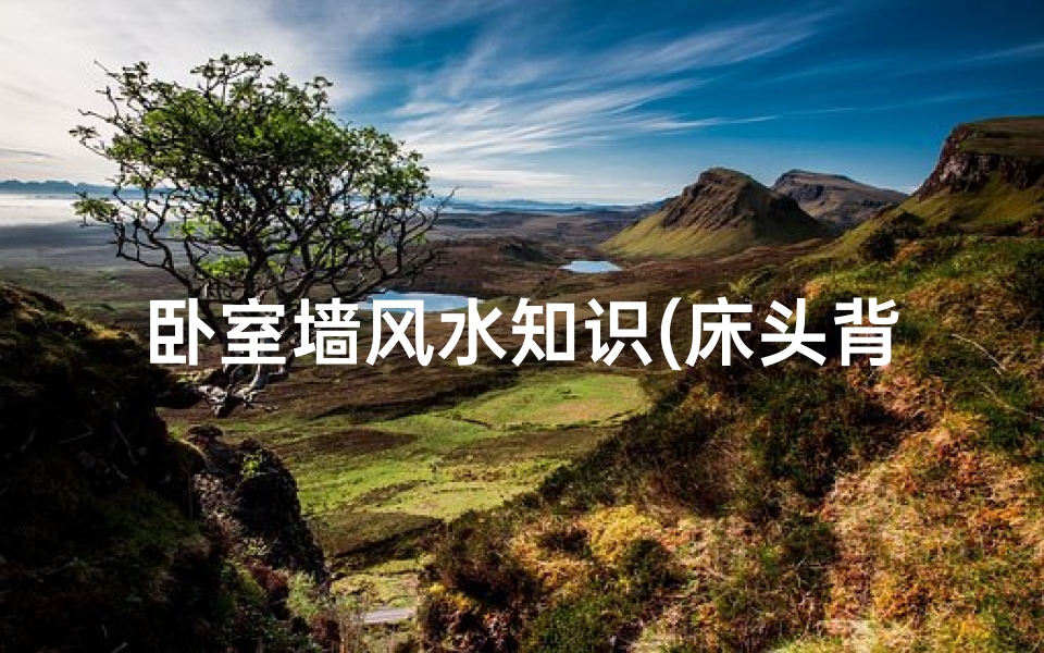 卧室墙风水知识(床头背景墙什么图案风水好)