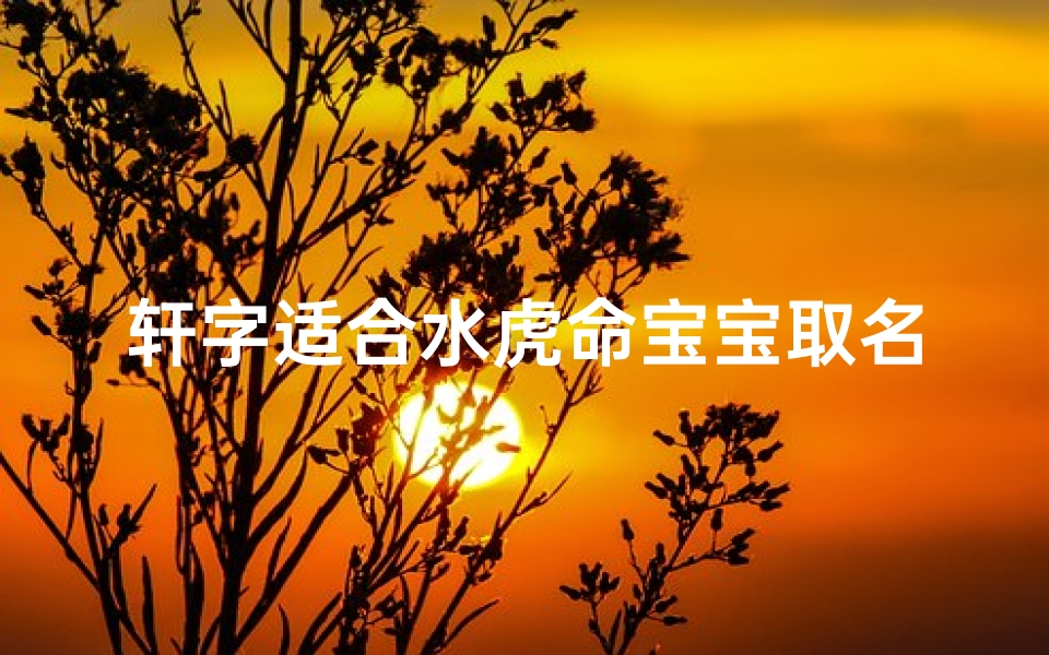 轩字适合水虎命宝宝取名吗、轩的名字适合鼠宝宝吗