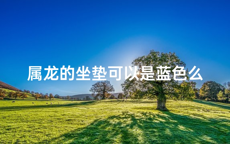 属龙的坐垫可以是蓝色么、属龙的桌子上应该放什么摆件