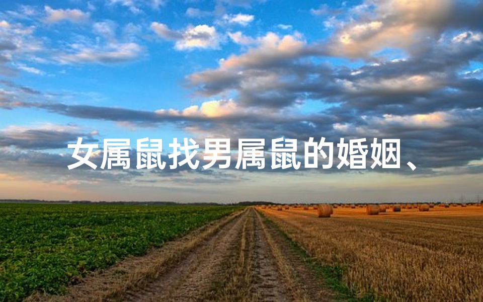 女属鼠找男属鼠的婚姻、女属鼠跟男属鼠婚姻怎么样