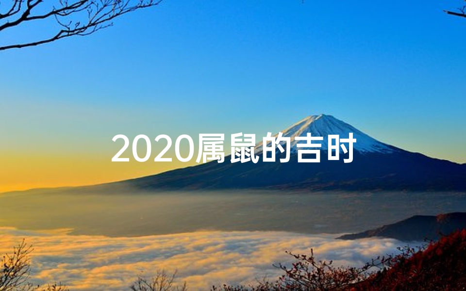 2020属鼠的吉时