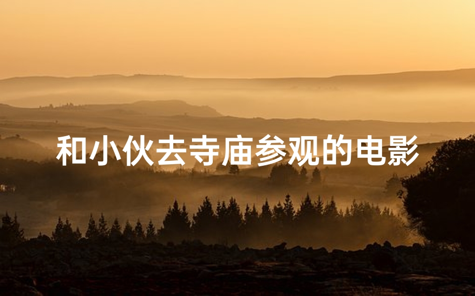 和小伙去寺庙参观的电影有哪些,《寺庙奇缘:邂逅佛光之旅》