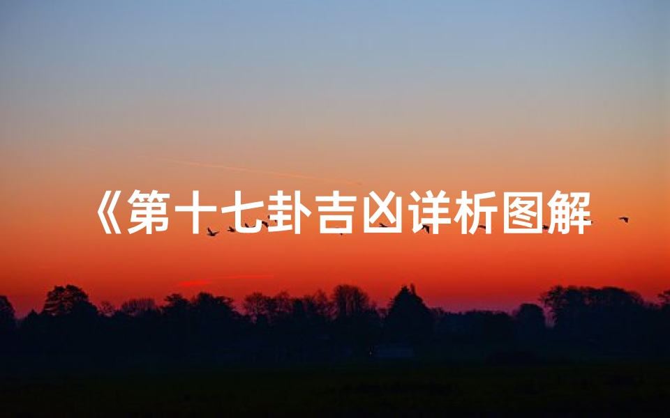《第十七卦吉凶详析图解:卦象奥秘深度解读》