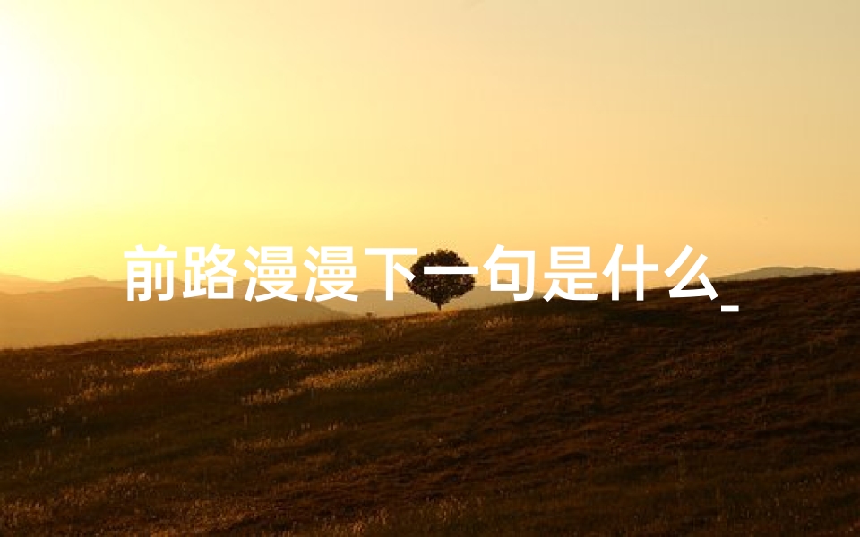 前路漫漫下一句是什么_路漫漫吉凶难测,前路未知何去何从