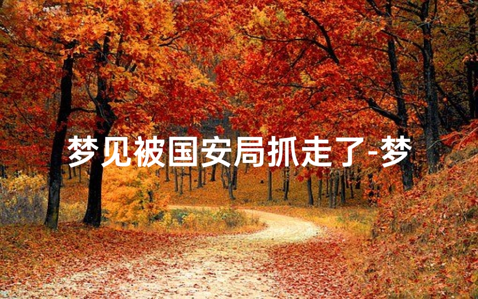 梦见被国安局抓走了-梦见自己被国安抓了