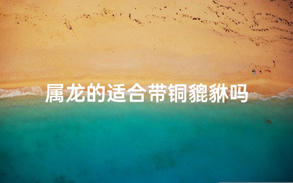 属龙的适合带铜貔貅吗