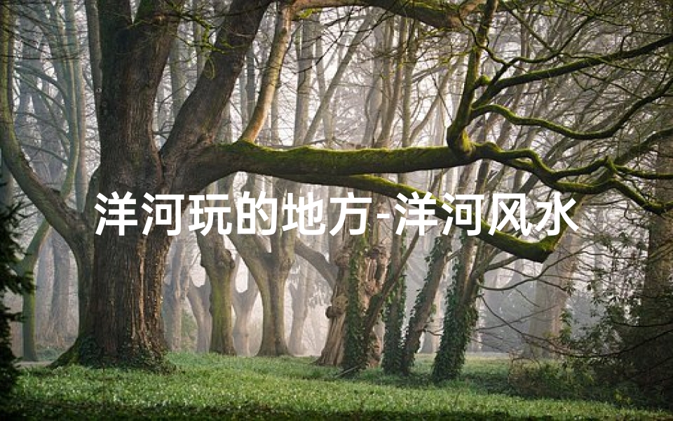 洋河玩的地方-洋河风水宝地,看风人士络绎不绝