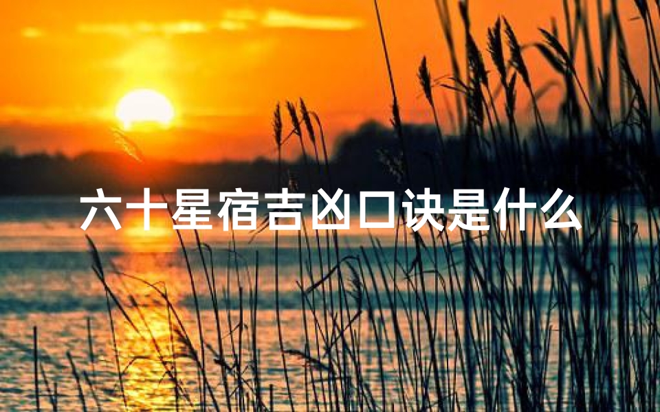 六十星宿吉凶口诀是什么-二十八星宿与六十四卦