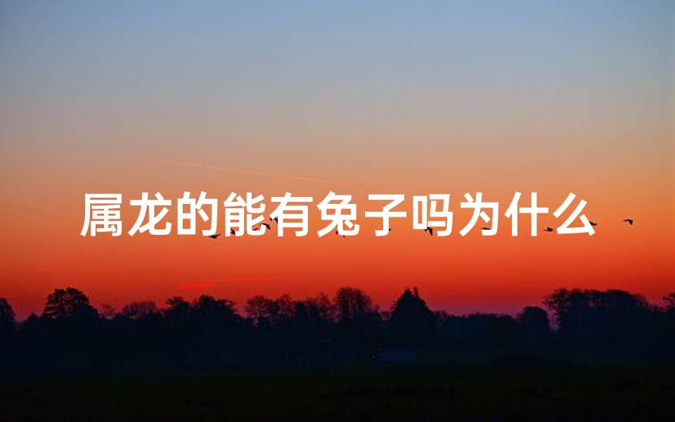 属龙的能有兔子吗为什么_属龙的不能找属兔的吗