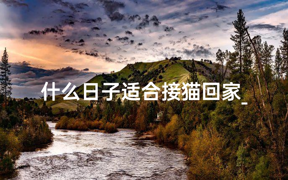 什么日子适合接猫回家_黄道吉日接猫，好运连连