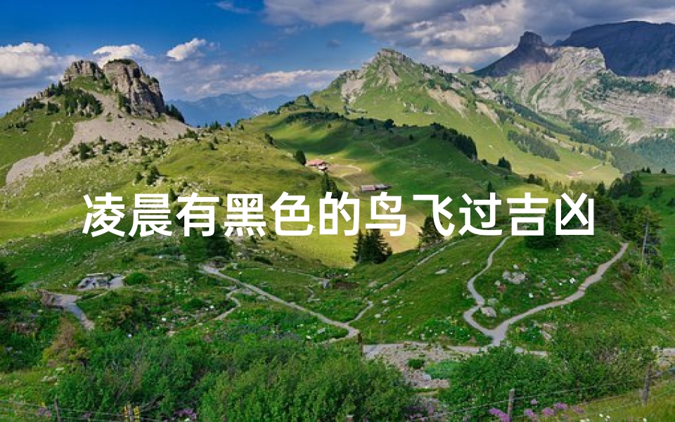 凌晨有黑色的鸟飞过吉凶、凌晨有黑色的鸟飞过吉凶怎么办