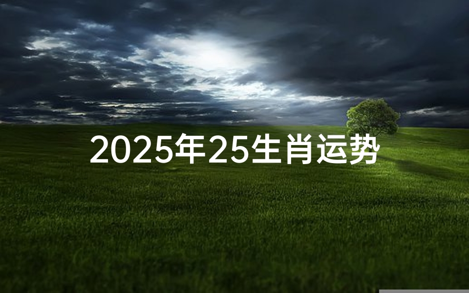 2025年25生肖运势排名及解析-预测与展望