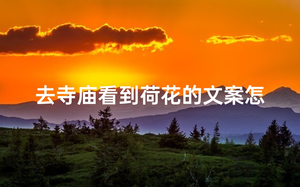 去寺庙看到荷花的文案怎么写-寺庙荷花映禅心