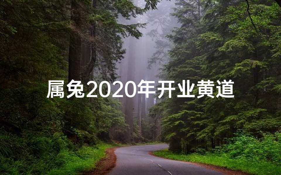 属兔2020年开业黄道吉日(属兔黄道吉日,开业大吉盛典启幕)