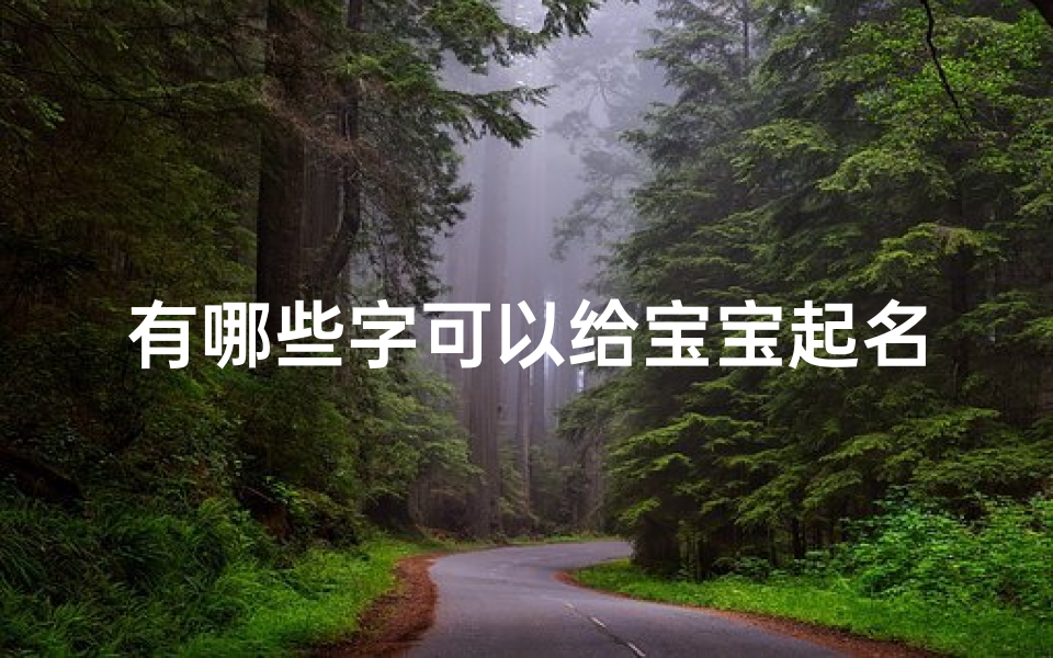 有哪些字可以给宝宝起名(男宝宝取名简单大气的名字)-海瑞算卦网