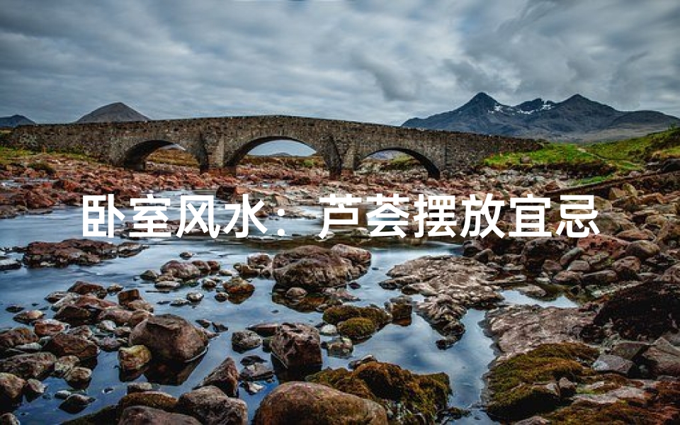 卧室风水:芦荟摆放宜忌解析