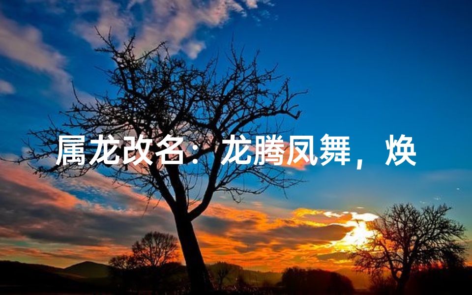 属龙改名:龙腾凤舞,焕新启航