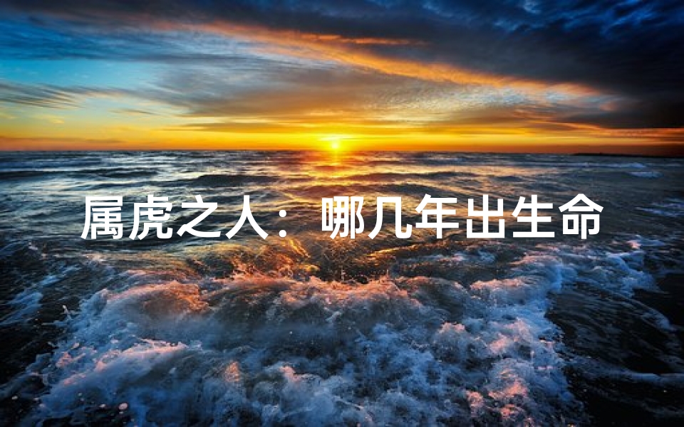 属虎之人:哪几年出生命运更佳?-海瑞算卦网