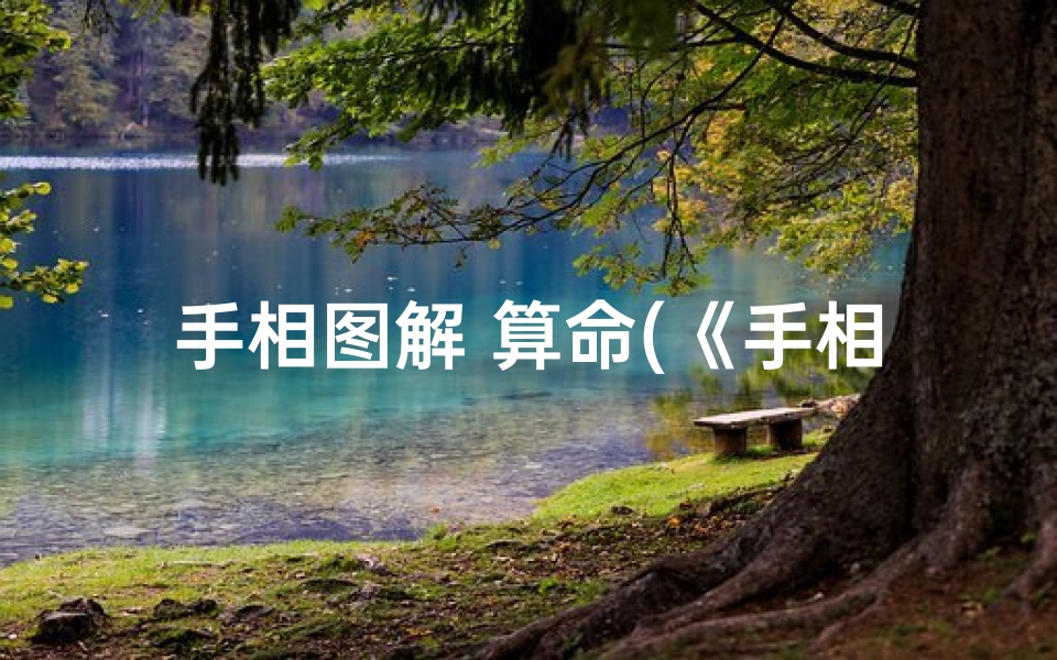 手相图解 算命(《手相吉凶揭秘:精准命理图解视频教程》)