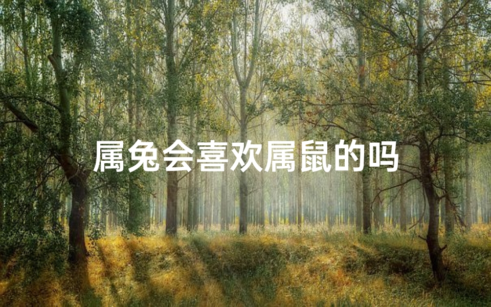 属兔会喜欢属鼠的吗