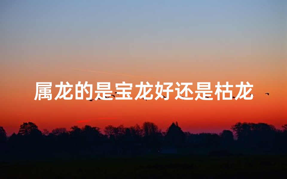 属龙的是宝龙好还是枯龙好;属龙选宝龙还是枯龙?探寻龙之真意