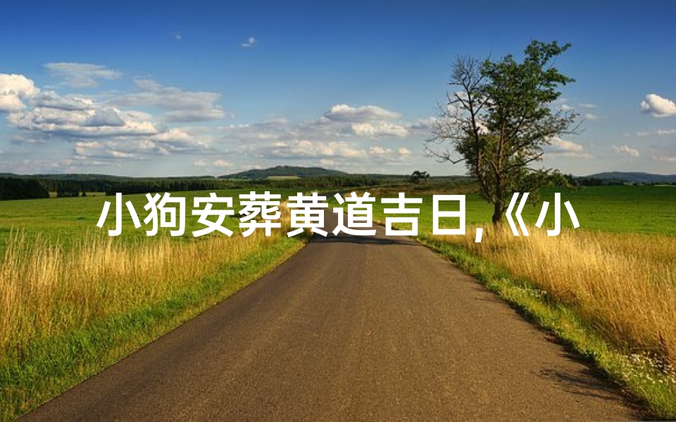小狗安葬黄道吉日,《小狗安葬黄道吉日:温馨告别时刻》