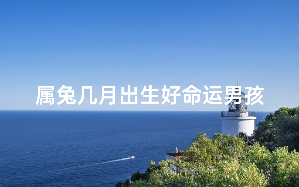 属兔几月出生好命运男孩