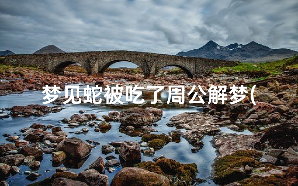 梦见蛇被吃了周公解梦(已婚男人梦见大蟒蛇反被自己吃了)