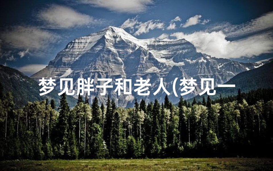 梦见胖子和老人(梦见一个胖老头)