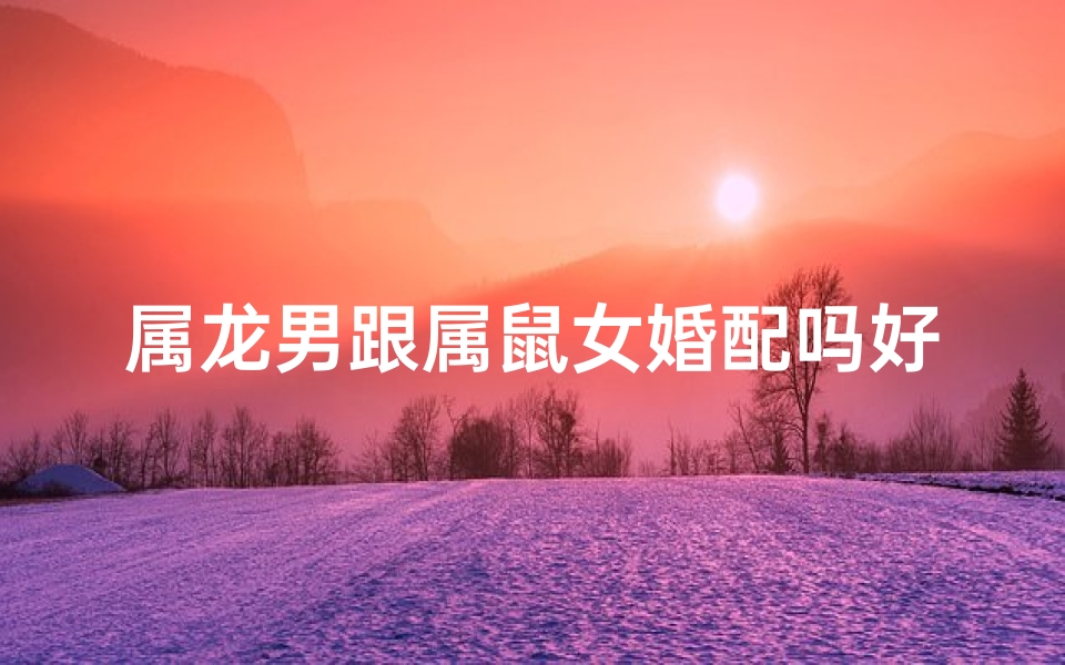 属龙男跟属鼠女婚配吗好吗