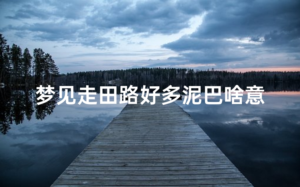 梦见走田路好多泥巴啥意思,梦见自己走田坎很多稀泥