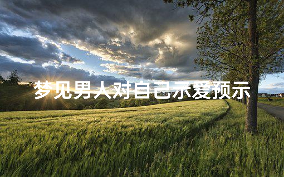 梦见男人对自己示爱预示什么意思、梦见男人对自己示好