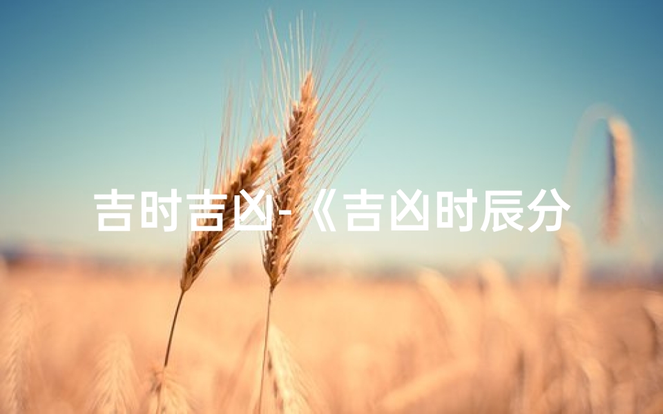 吉时吉凶-《吉凶时辰分法详解大全图揭秘》