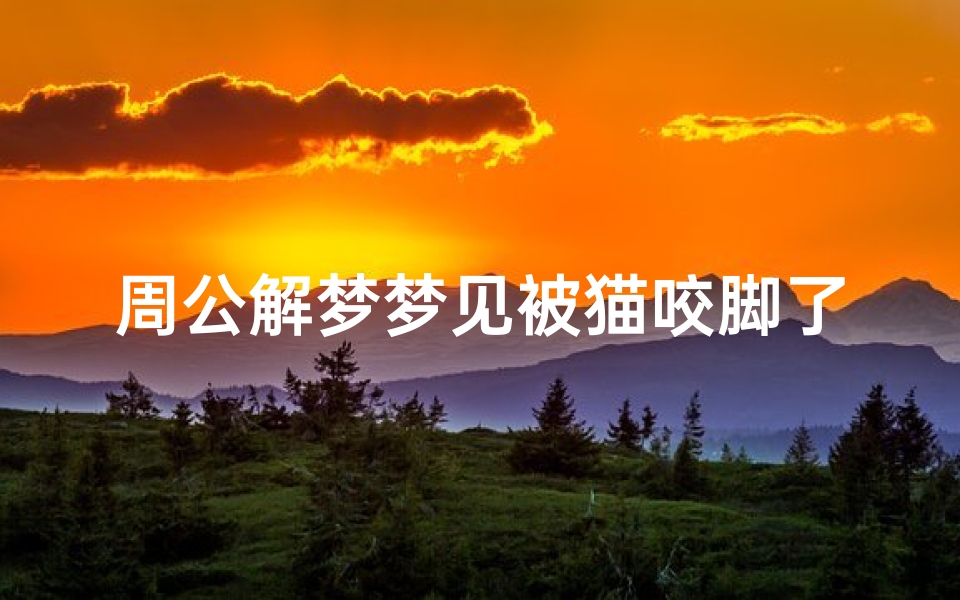 周公解梦梦见被猫咬脚了(梦见被猫咬脚出血的预兆)