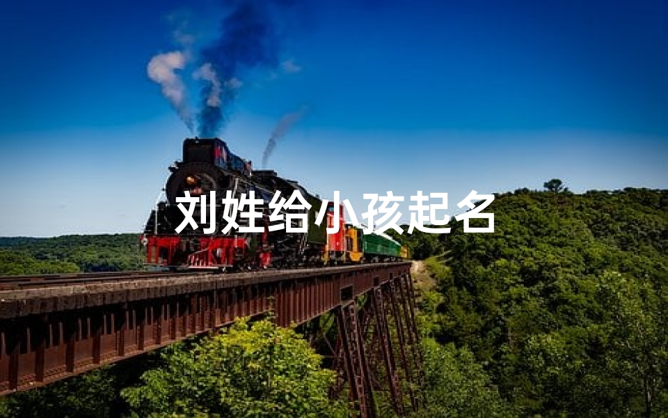 刘姓给小孩起名