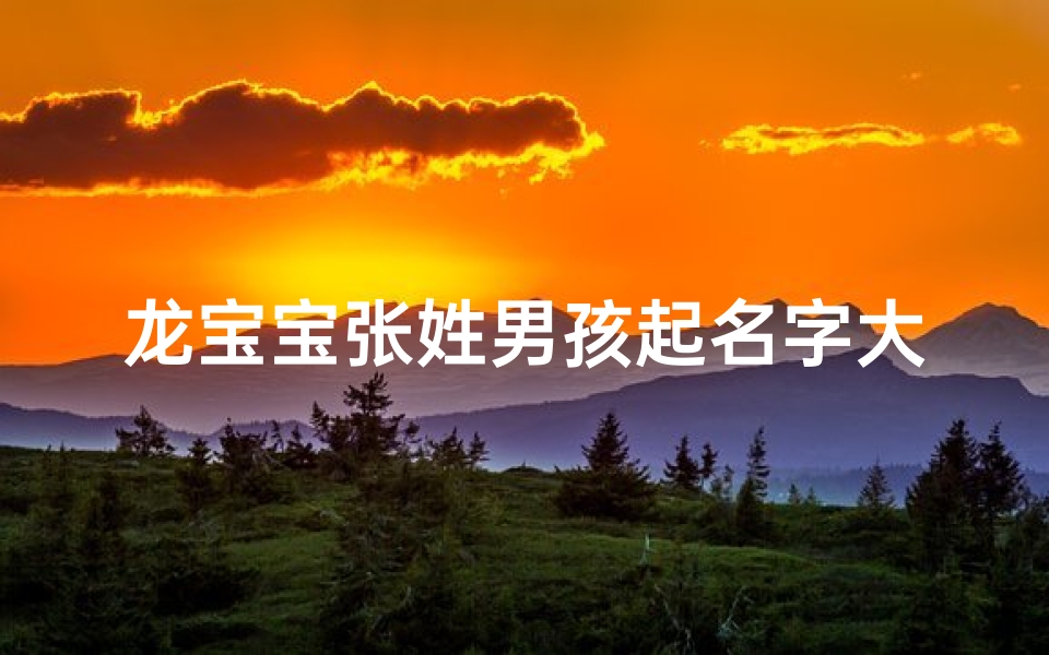 龙宝宝张姓男孩起名字大全—《龙宝宝张姓男孩起名大全:精选佳名汇聚一堂》