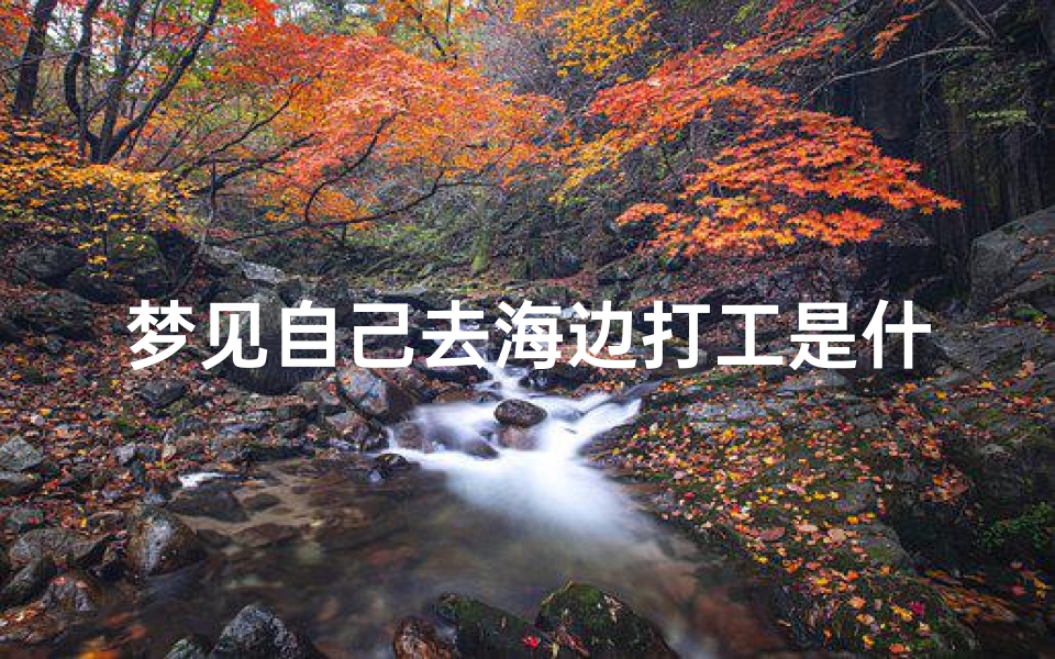 梦见自己去海边打工是什么预兆、梦见自己去海边打工是什么预兆呢