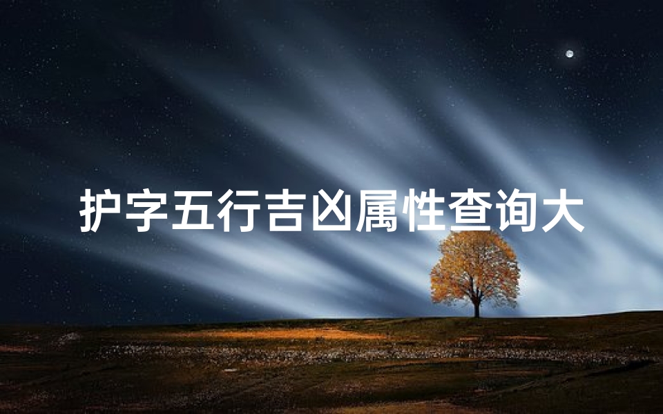 护字五行吉凶属性查询大全-护字五笔怎么打的