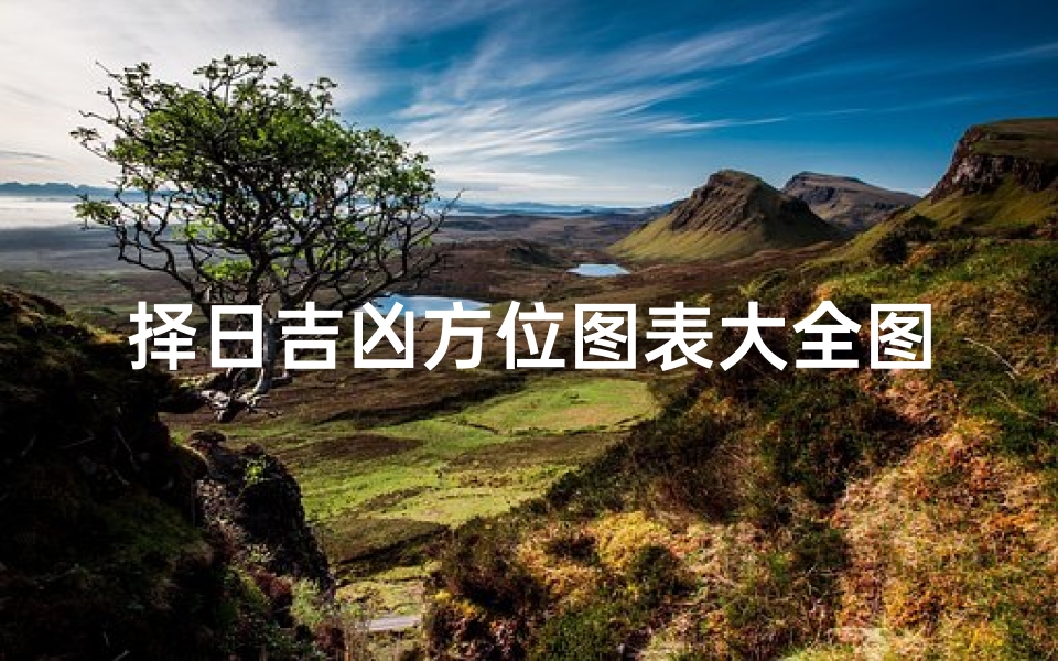 择日吉凶方位图表大全图解-择日吉凶方位图表大全图解图片