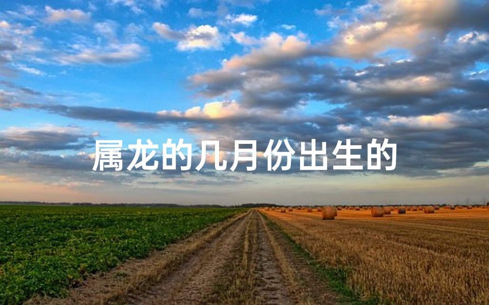 属龙的几月份出生的