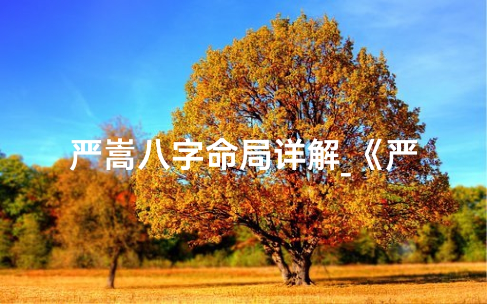 严嵩八字命局详解_《严嵩八字命局揭秘:命运起伏的奥秘解析》