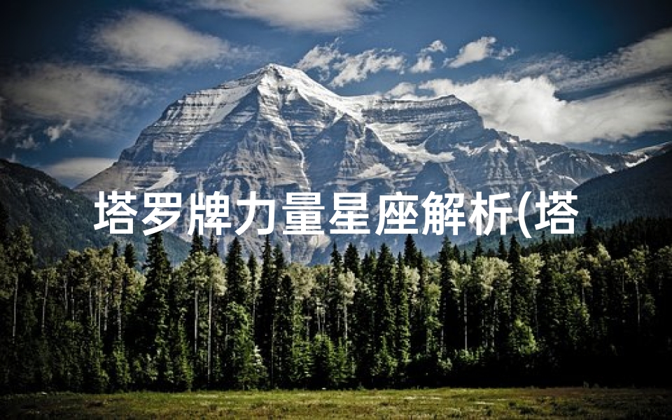 塔罗牌力量星座解析(塔罗牌占卜最旺的星座是什么)