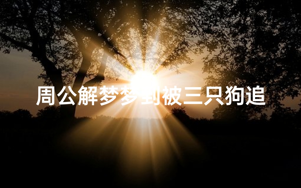 周公解梦梦到被三只狗追(梦见三只狗追自己咬)