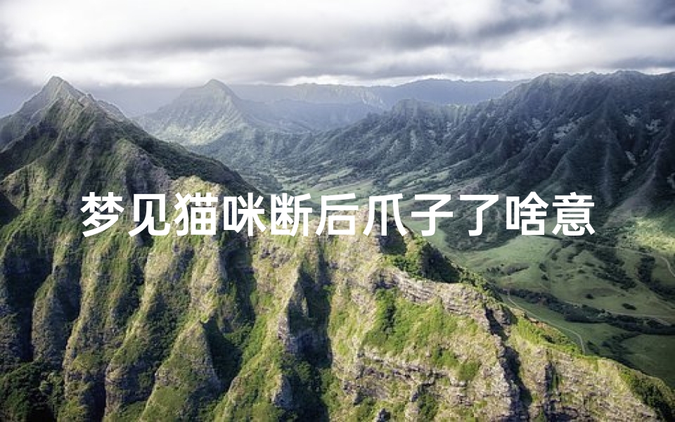梦见猫咪断后爪子了啥意思—梦见猫咪断后爪子了啥意思啊-海瑞算卦网