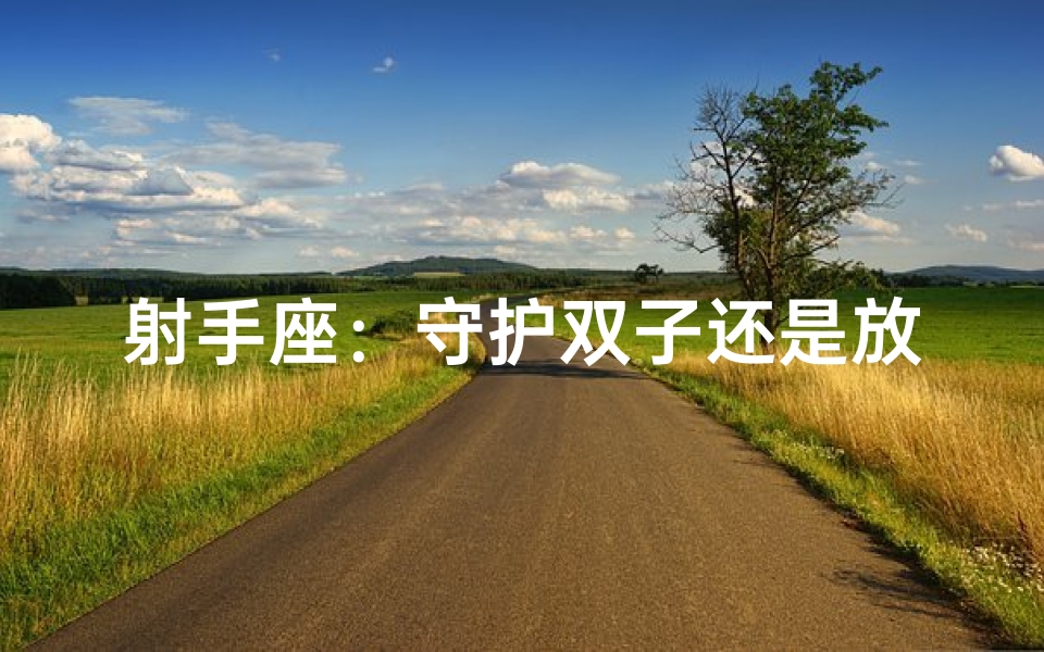 射手座:守护双子还是放手?